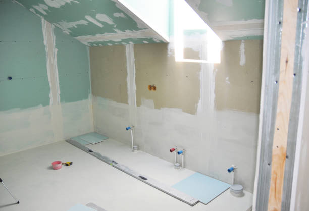 Trusted Calumet City, IL Mold Removal Experts