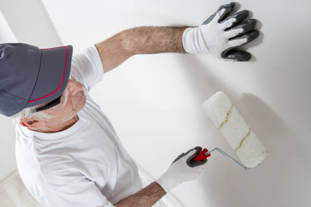 Best Industrial Mold Remediation  in Calumet City, IL