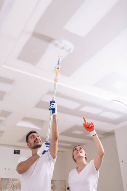 Environmental Consulting for Mold Prevention in Calumet City, IL