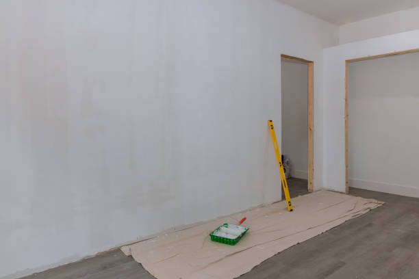 Best Real Estate Mold Inspection  in Calumet City, IL