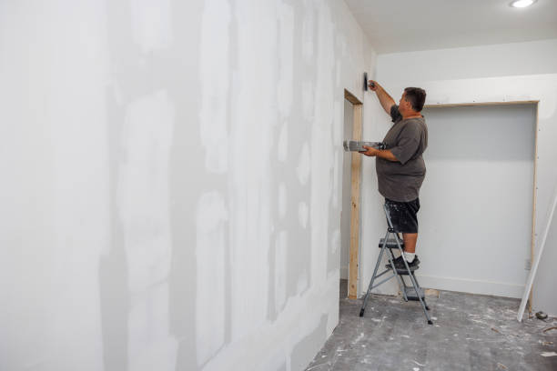Best Mold Removal for HVAC Installations  in Calumet City, IL