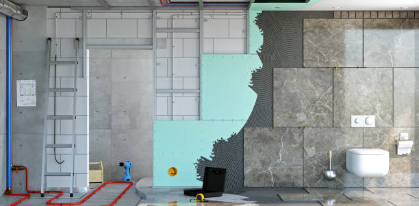 Best Mold Documentation for Insurance Claims  in Calumet City, IL