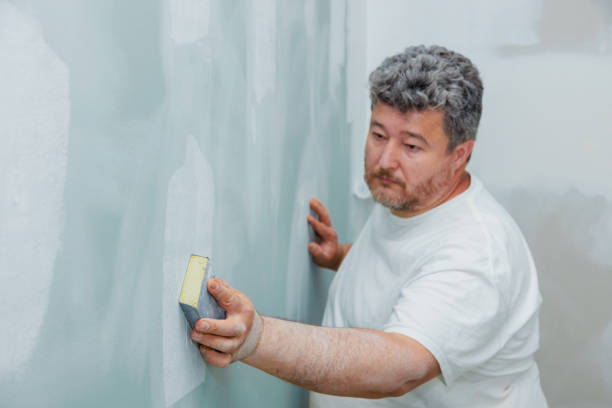  Calumet City, IL Mold Removal Pros
