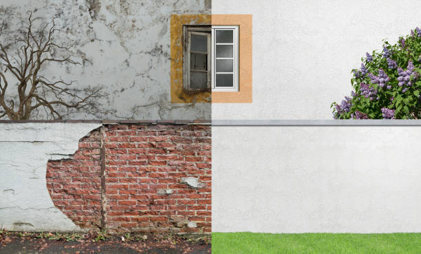 Best Basement Mold Removal  in Calumet City, IL