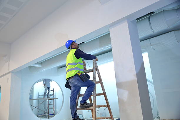 Best Asbestos and Lead Testing During Mold Inspection  in Calumet City, IL
