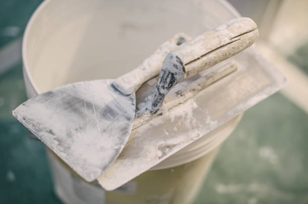 Best Post-Construction Mold Inspection  in Calumet City, IL