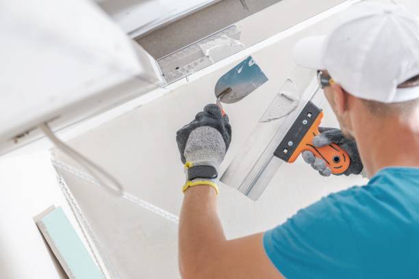 Best Dehumidification Services  in Calumet City, IL